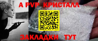 шишки Будённовск